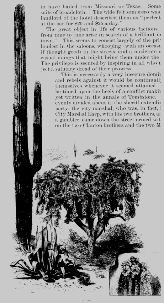 ACROSS ARIZONA IN 1883 including glimpses of Yuma, Tucson, Tombstone. vist0011backcover.jpg